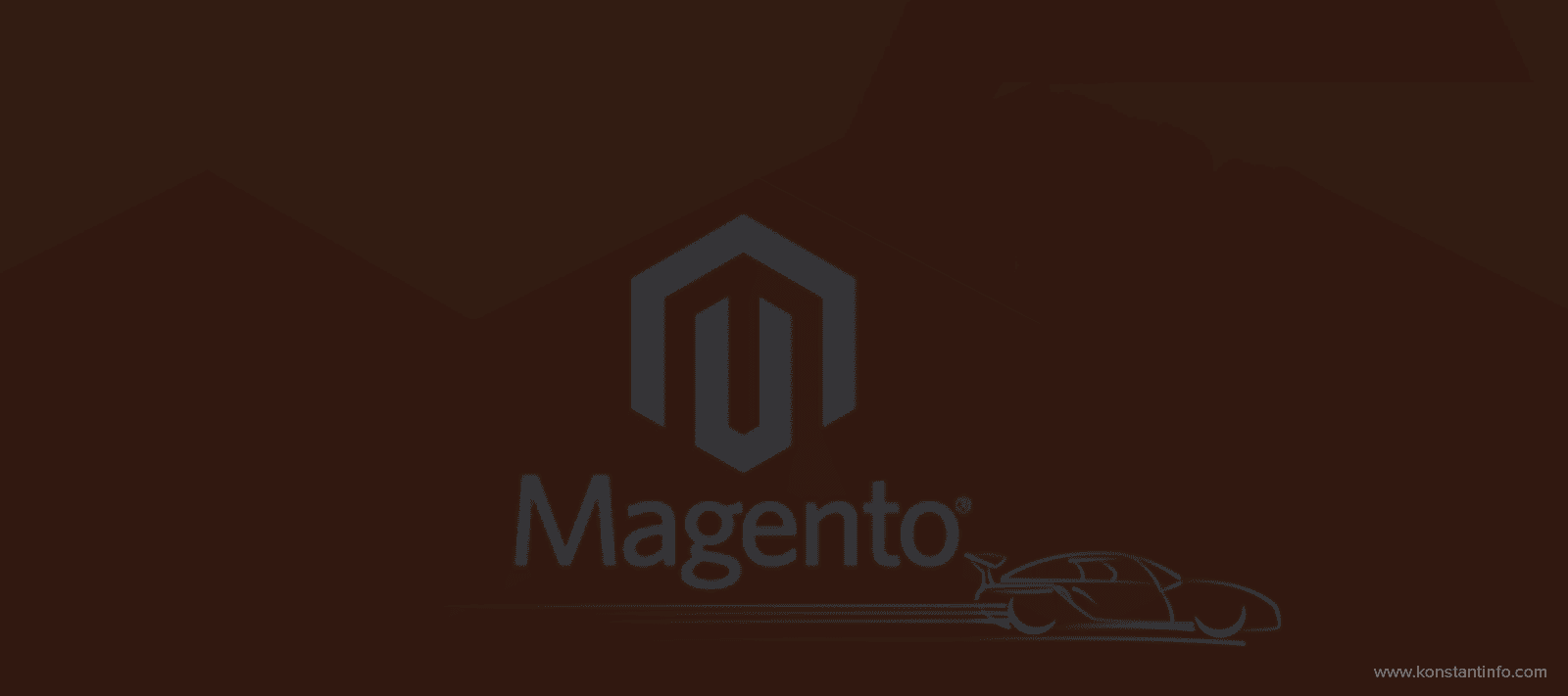 Infographic: Magento – Fastest Growing eCommerce Platform