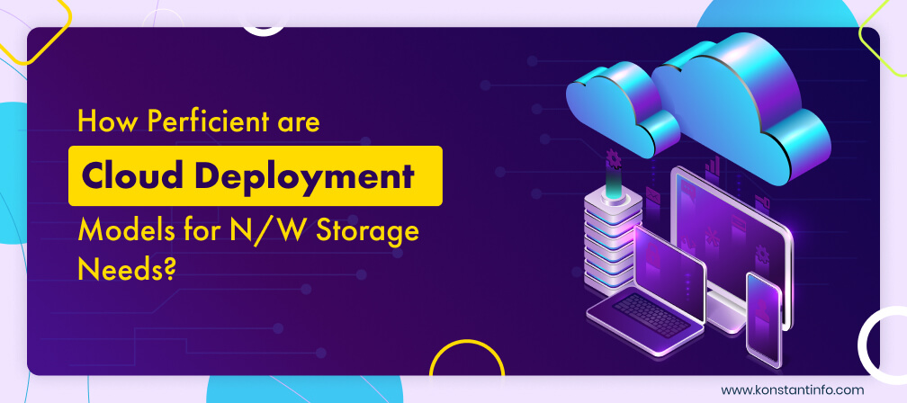 How Perficient are Cloud Deployment Models for N/W Storage Needs?