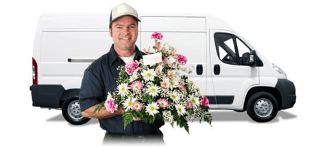 online flower delivery