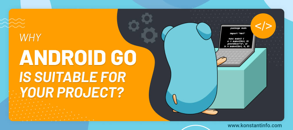 Why Android Go is Suitable for Your Project?