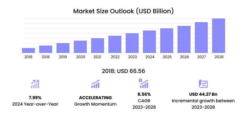 custom application market size outlook