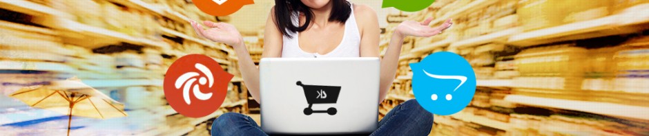 eCommerce Store for the Next Holiday Season?