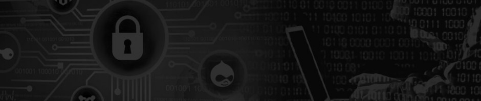 Fencing Around Magento Website for Invasions