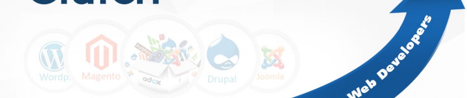 konstantinfo Ranked as Top Web Development Company in Clutch.co