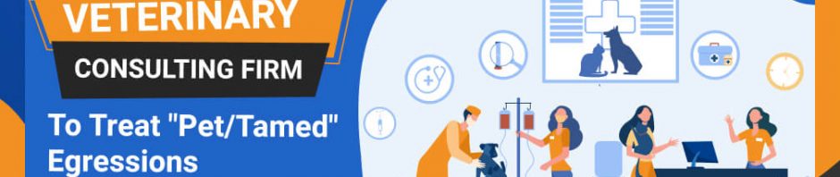 veterinary consulting firm