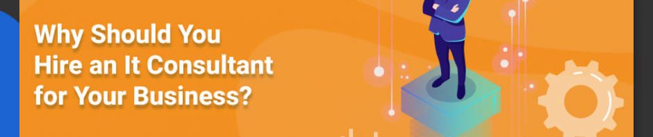 it business consultant
